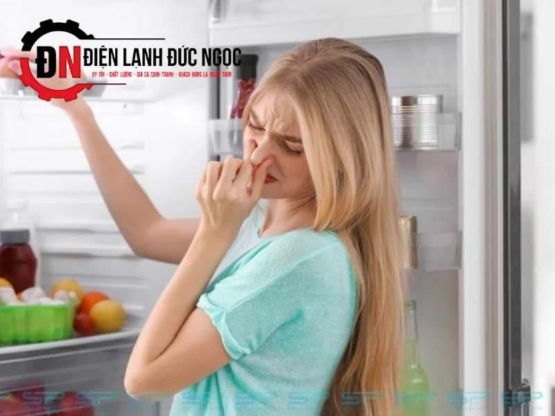Tủ lạnh Samsung không lạnh